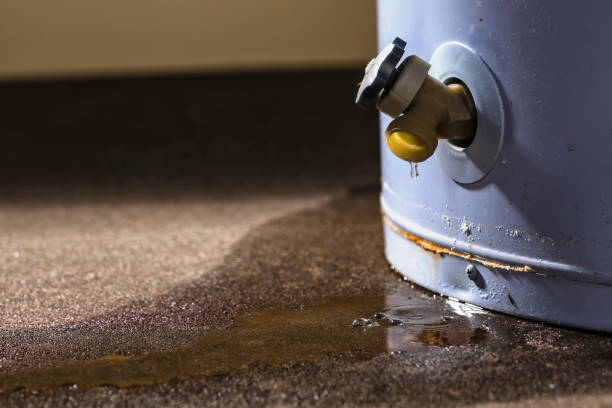 Best Carpet water damage restoration  in Rlsbad, CA