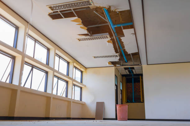 Best Water damage restoration near me  in Rlsbad, CA