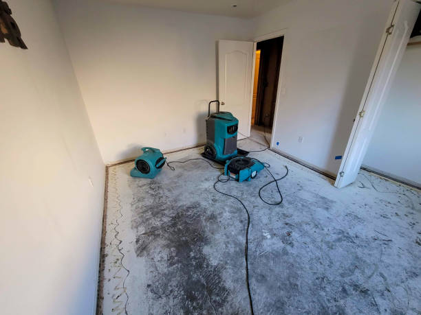 Best 24-hour water damage restoration  in Rlsbad, CA