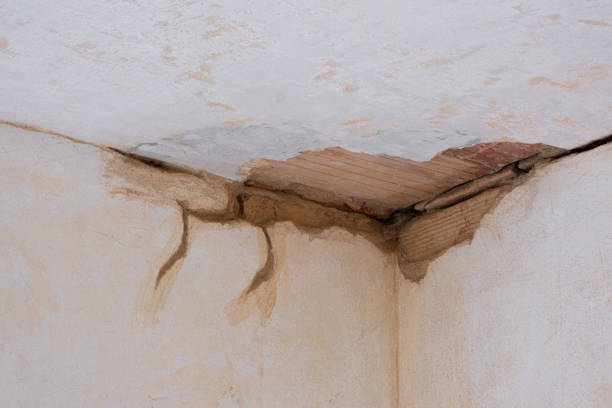Best Sewage cleanup and water damage restoration  in Rlsbad, CA