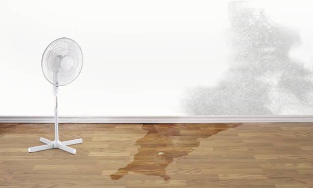  Rlsbad, CA Water damage restoration Pros