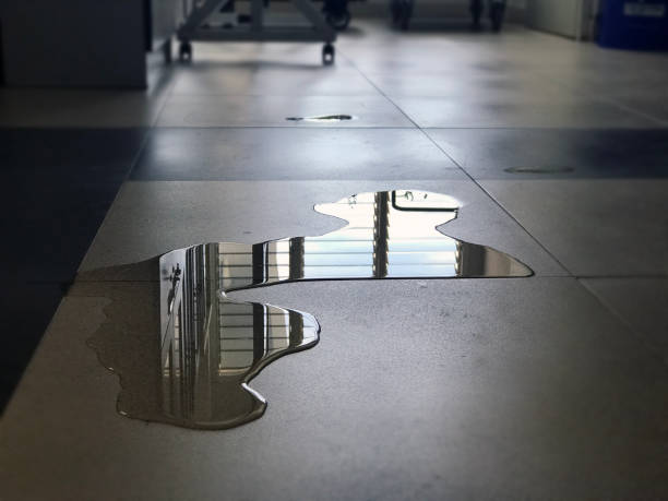 Best 24/7 water damage repair  in Rlsbad, CA