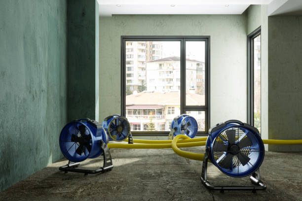 Best Water damage cleanup near me  in Rlsbad, CA