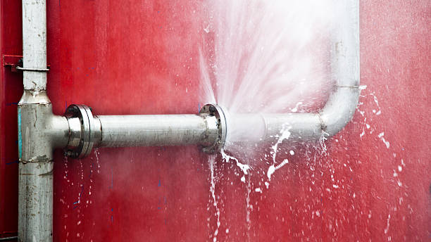 Best Flood restoration services  in Rlsbad, CA